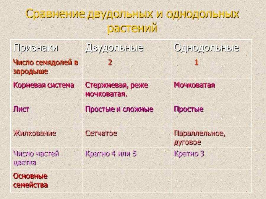 Семейства растений таблица с примерами и рисунками